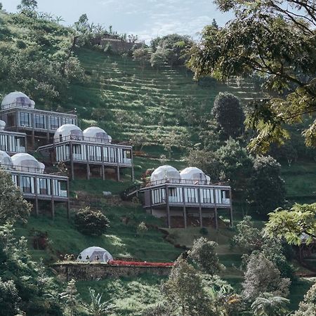 Damar Langit Resort Cisarua Bagian luar foto