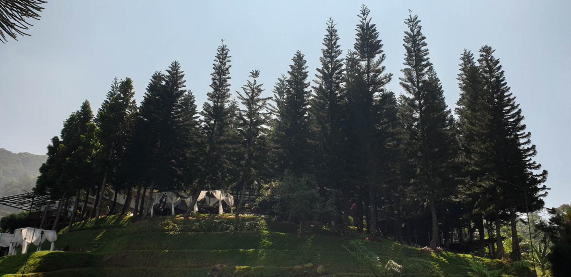 Damar Langit Resort Cisarua Bagian luar foto